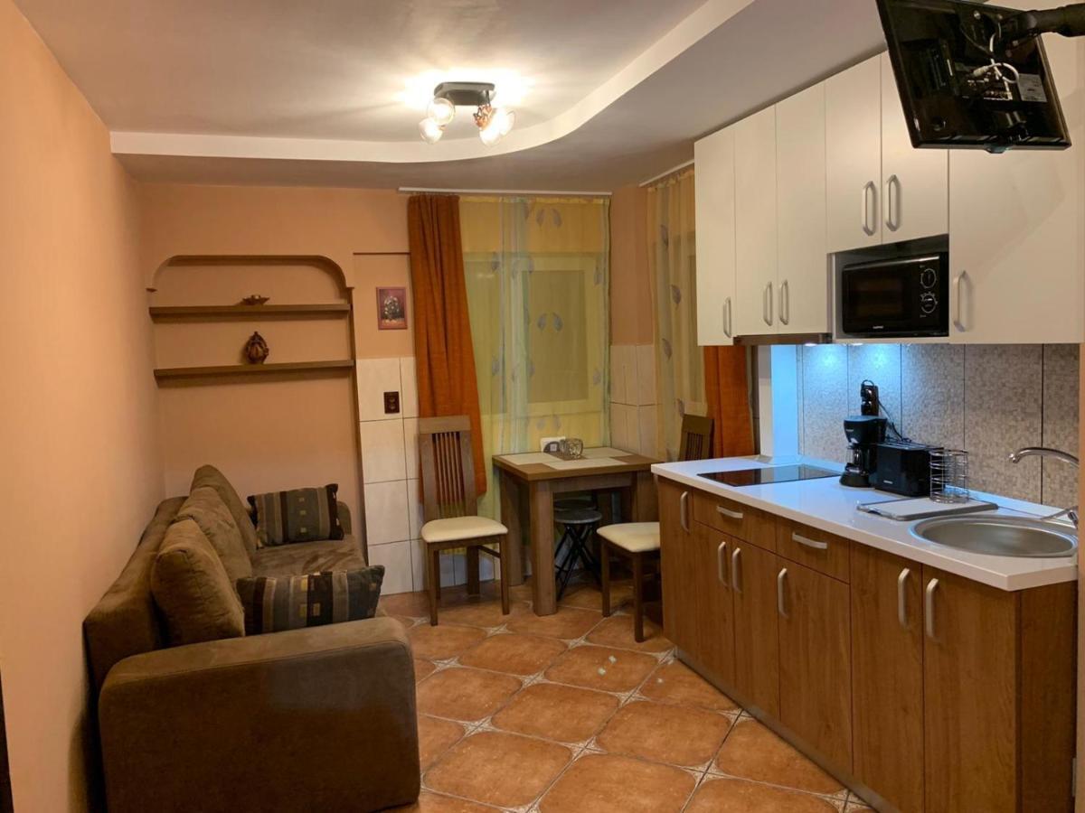 Garsoniera Ania Baile Felix Lägenhet Exteriör bild